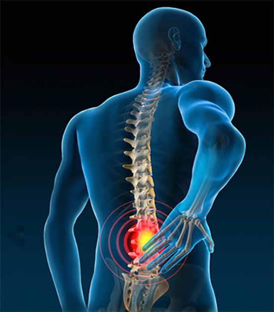 Region Disc Bone Setting in KPHB | Home | Vaidya Wellness Centre